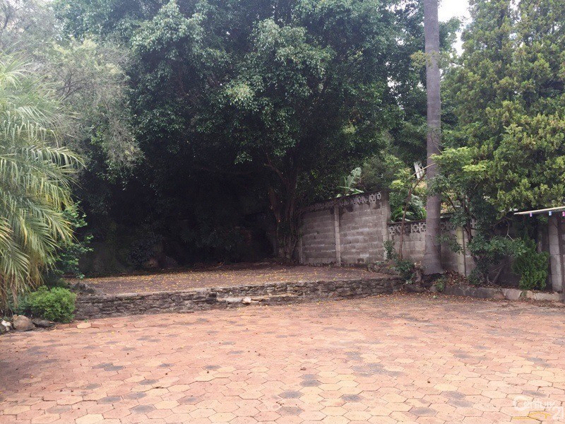 36 Macquarie Road, Earlwood NSW 2206