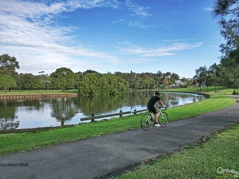 17 Elsie Street, Earlwood NSW 2206