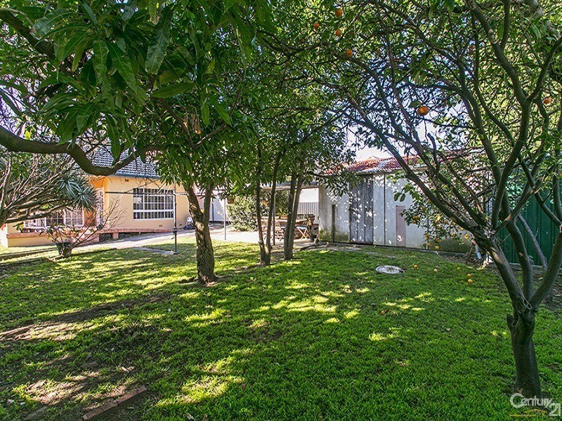 7 Earlwood Avenue, Earlwood NSW 2206