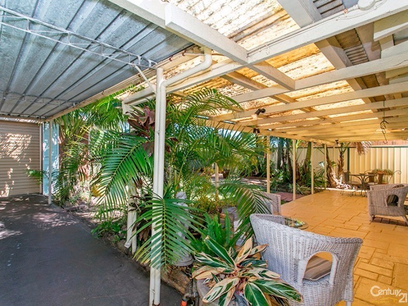 113 Thompson Street, Earlwood NSW 2206