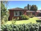 33 Wearne Street, Canterbury NSW 2193