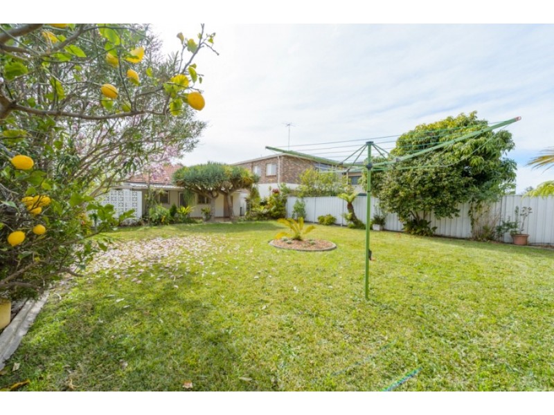 44 Flers Avenue, Earlwood NSW 2206