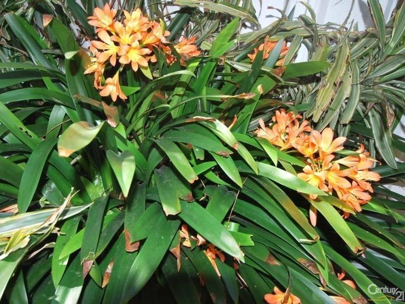 20 Childers Street, Bonnyrigg Heights NSW 2177