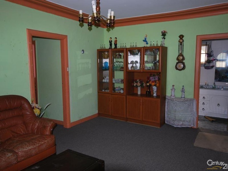 19 Beckenham Street, Canley Vale NSW 2166