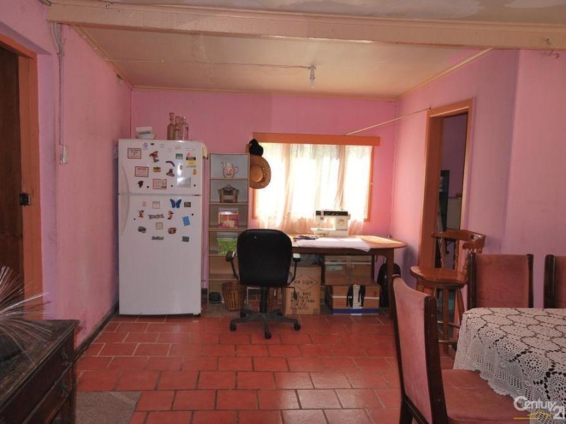 19 Beckenham Street, Canley Vale NSW 2166