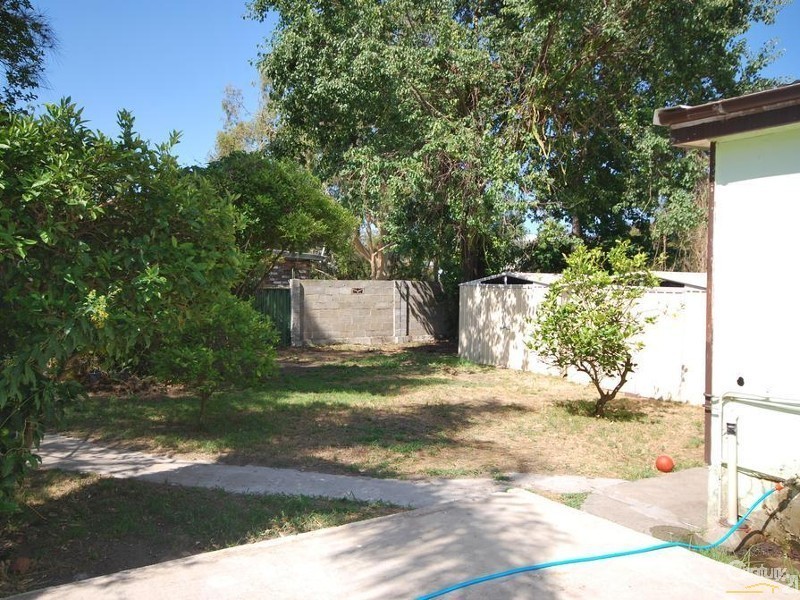 19 Beckenham Street, Canley Vale NSW 2166