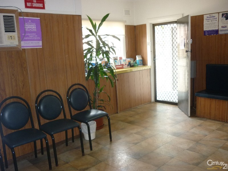 159-161 Canley Vale Road, Canley Heights NSW 2166