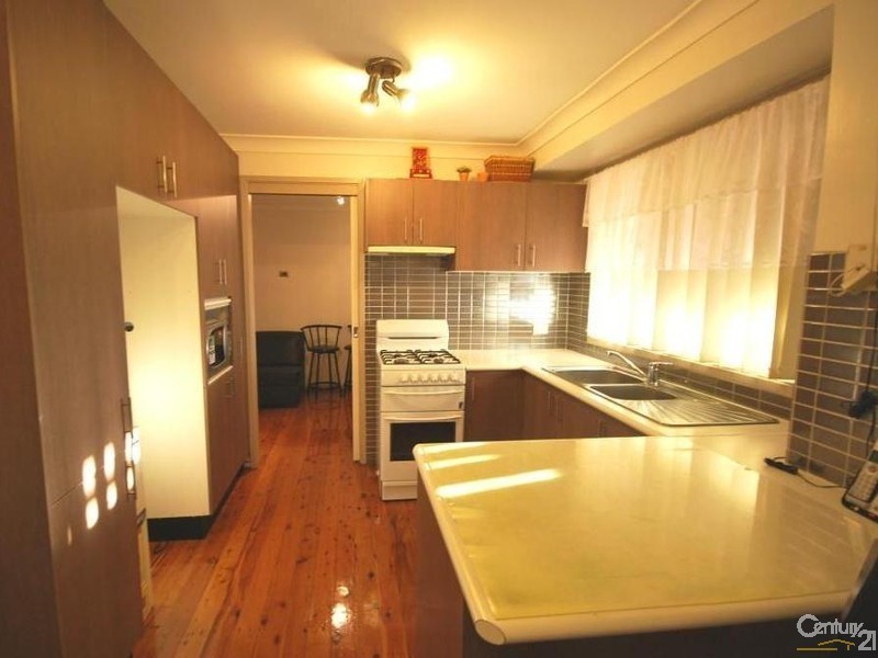 17 Broadmeadow Street, St Johns Park NSW 2176