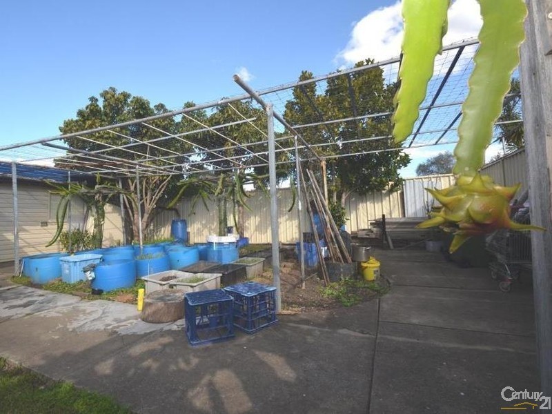 52 Chelsea Drive, Canley Heights NSW 2166