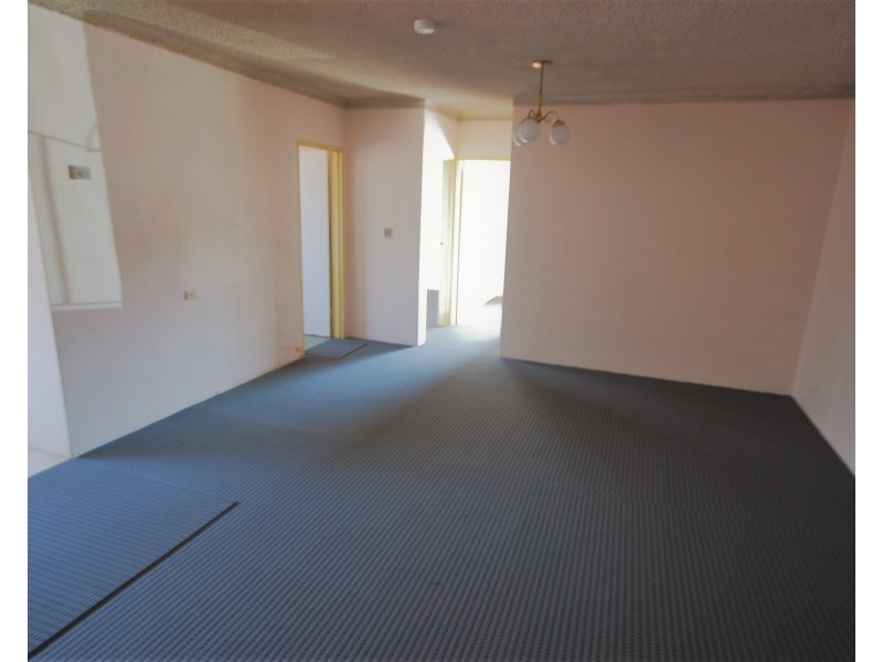 7/61C Mc Burney Rd, Cabramatta NSW 2166