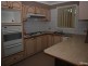 Canley Heights NSW 2166