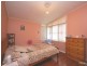 59 Cabramatta Avenue, Miller NSW 2168