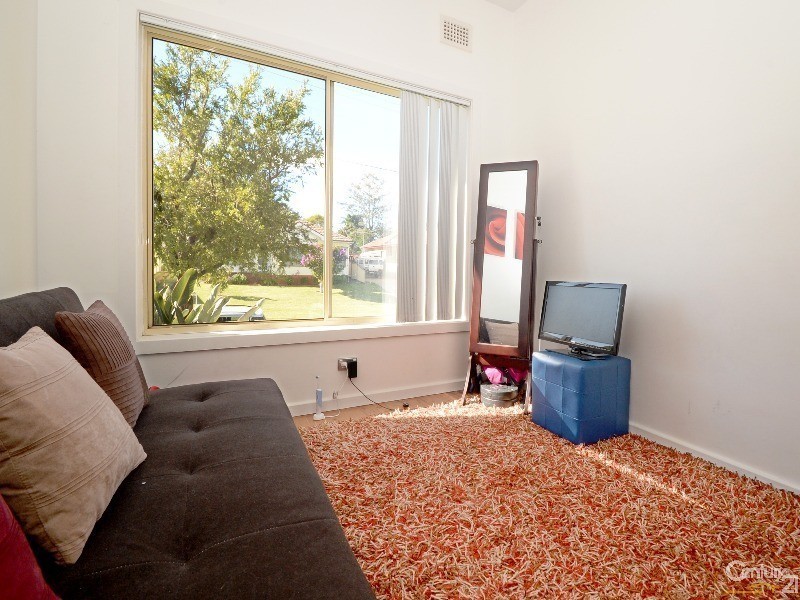 17 Smiths Avenue, Cabramatta NSW 2166