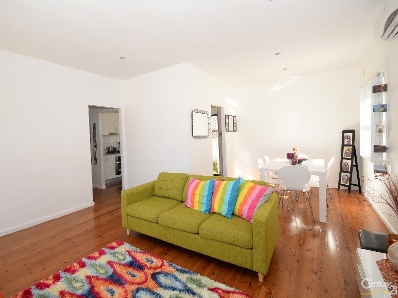 17 Smiths Avenue, Cabramatta NSW 2166