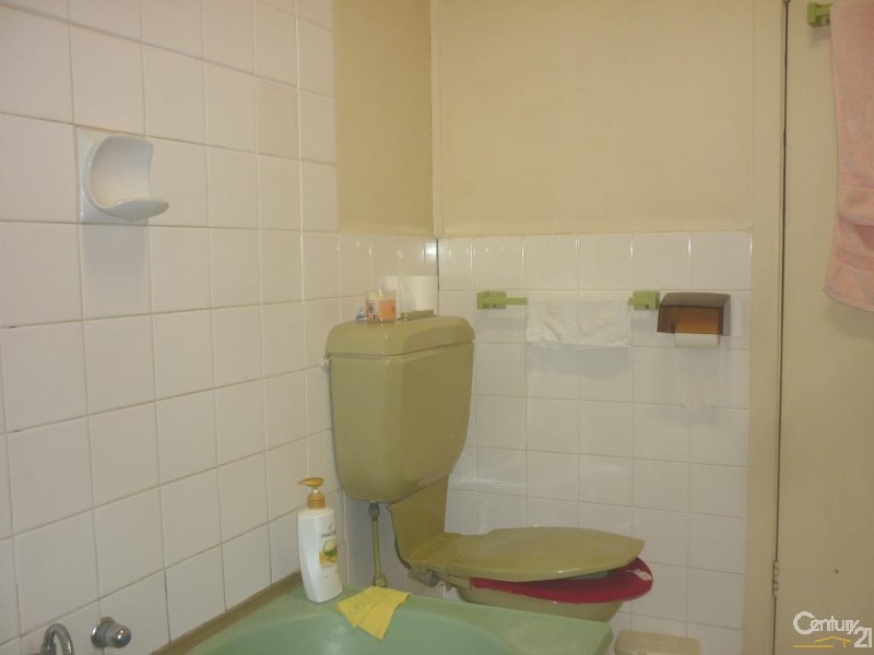 113 Railway Street, Yennora NSW 2161