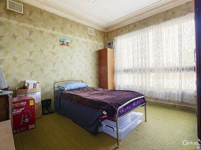 19 Prospect Road, Canley Vale NSW 2166