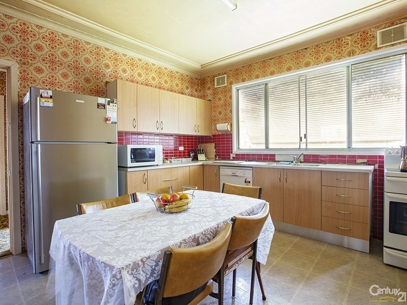 19 Prospect Road, Canley Vale NSW 2166