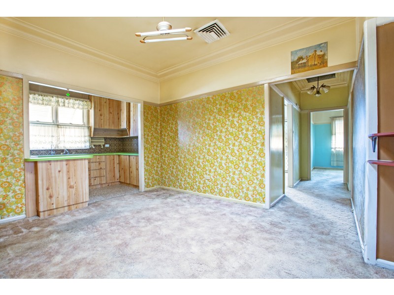 54 Denison Street, Villawood NSW 2163