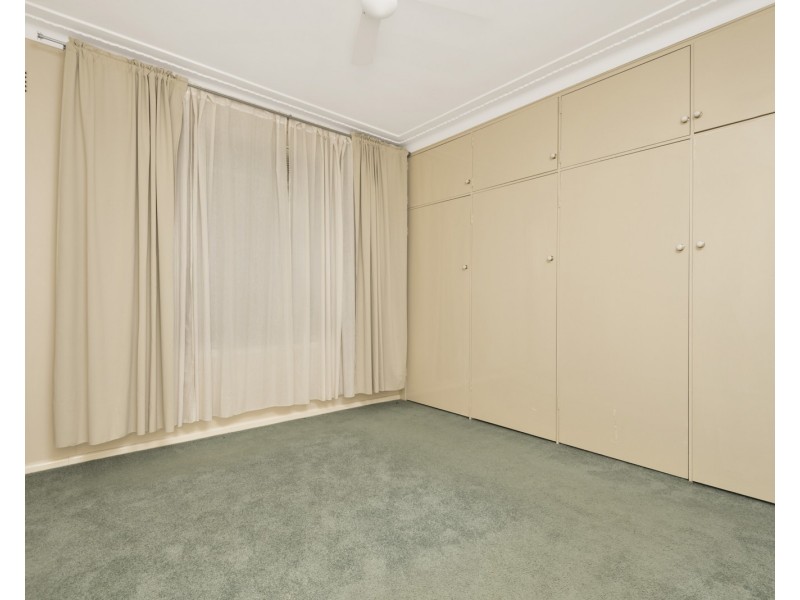7 Treloar Crescent, Chester Hill NSW 2162