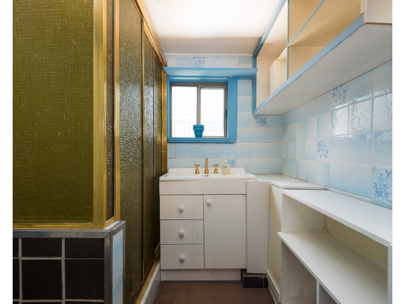 5 The Avenue, Canley Vale NSW 2166