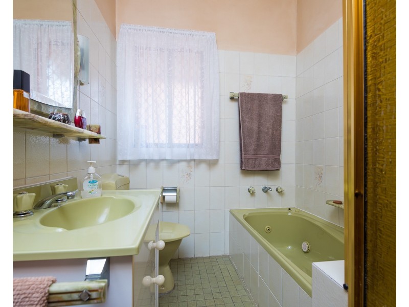 5 The Avenue, Canley Vale NSW 2166