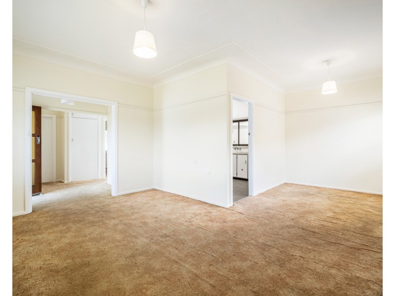 45 Carabeen Street, Cabramatta NSW 2166