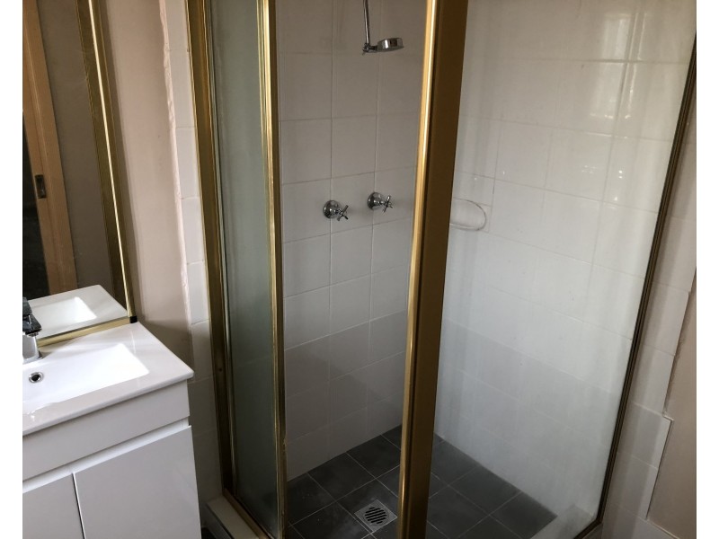 Canley Vale NSW 2166