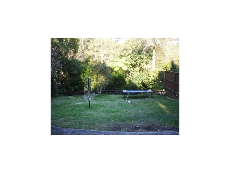 19 Denman Street, Turramurra NSW 2074