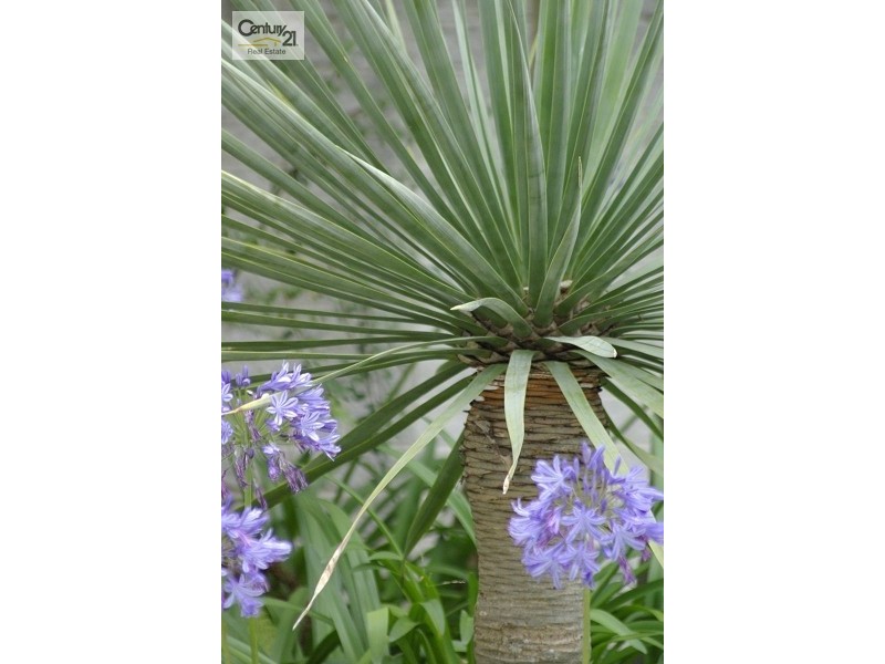 119/2 Artarmon Road, Willoughby NSW 2068