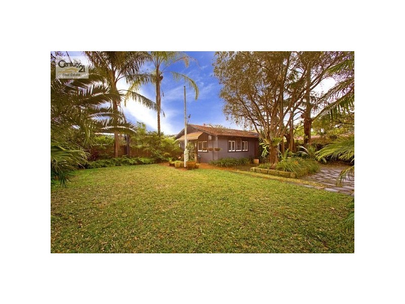 54 Duntroon Ave, Roseville NSW 2069