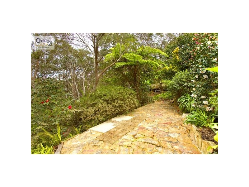 67 Albert Drive, Killara NSW 2071