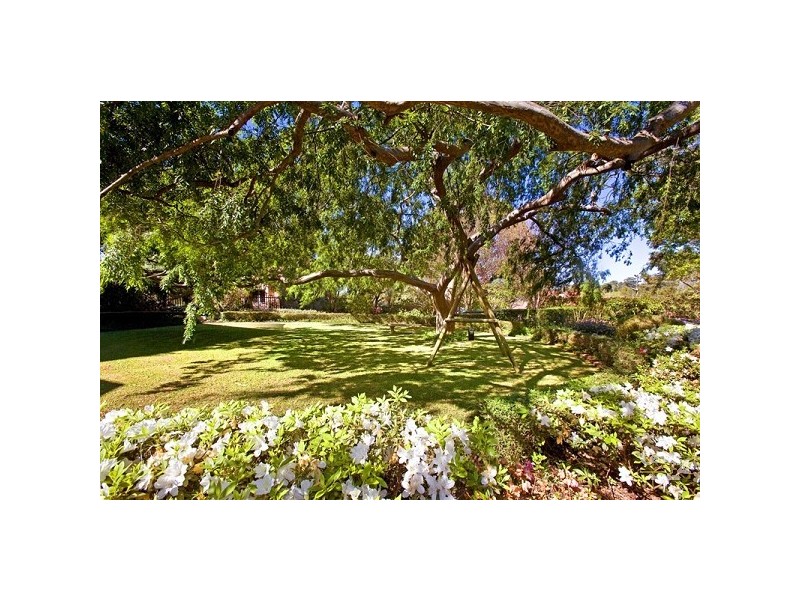 42 Powell Street, Killara NSW 2071