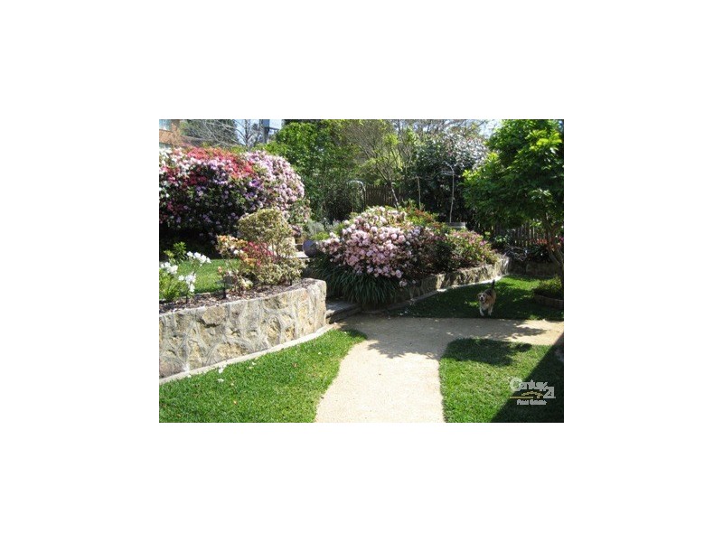 10 Maxwell Street, Turramurra NSW 2074