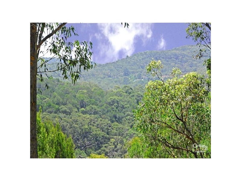 7 Kimberley Street, Killara NSW 2071