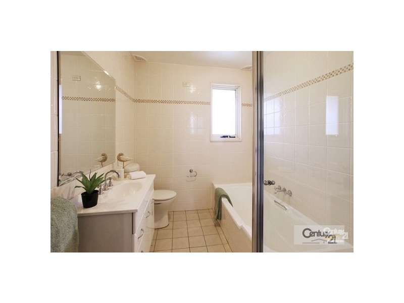 19 DUKE STREET, Forestville NSW 2087