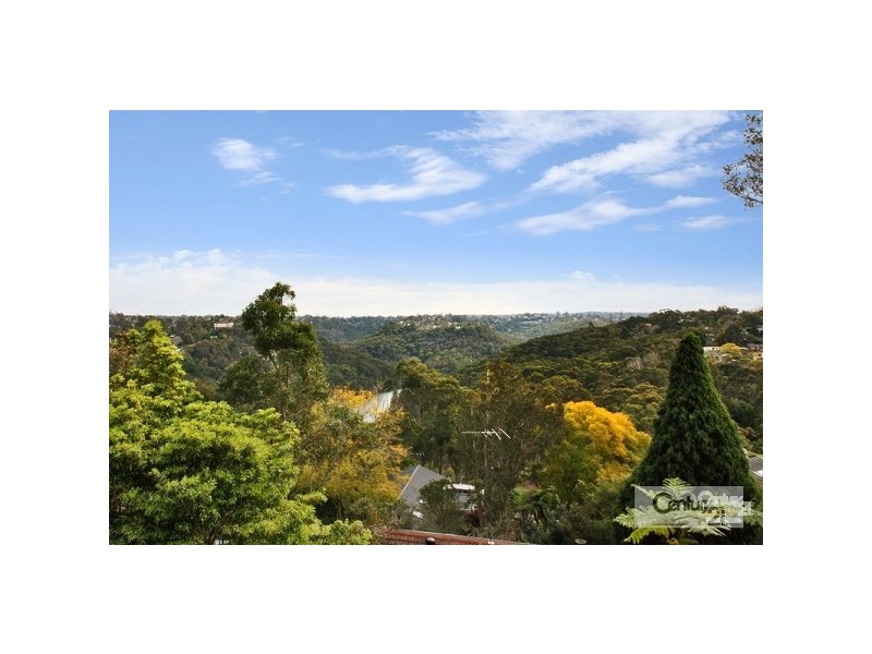 19 DUKE STREET, Forestville NSW 2087