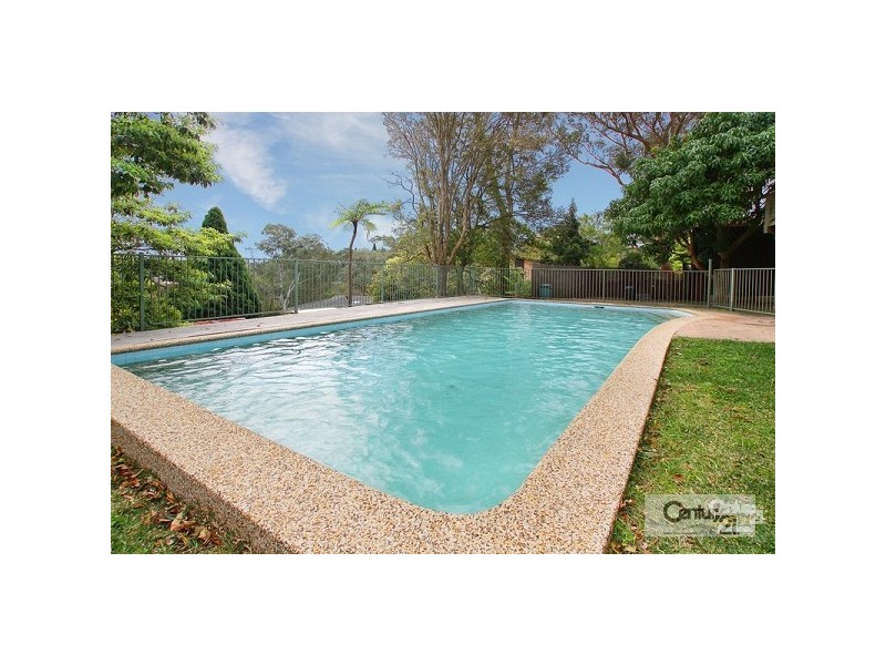 19 DUKE STREET, Forestville NSW 2087