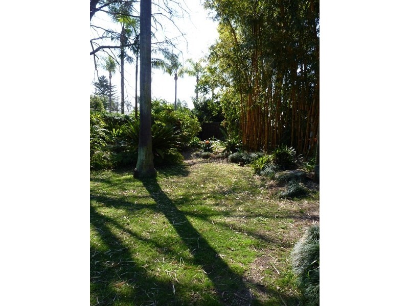 6 Jefferson Avenue, St Ives NSW 2075