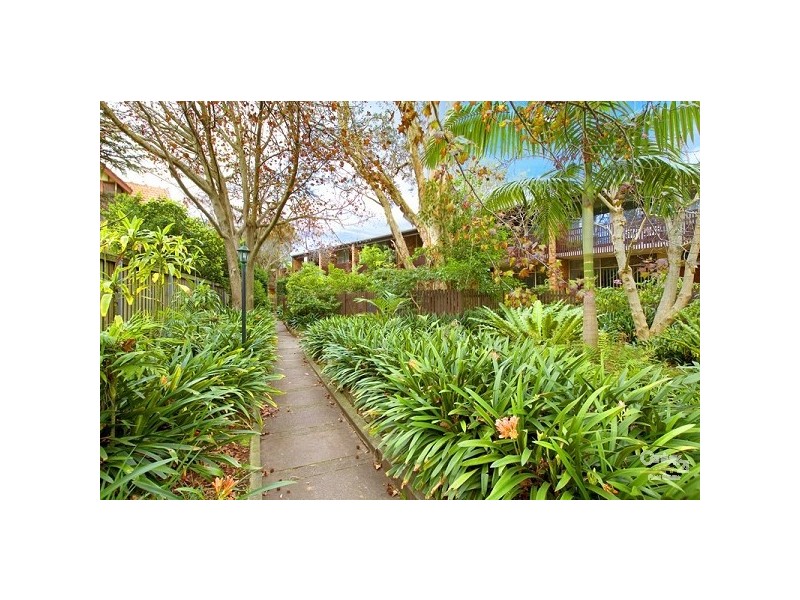 13/1351 Pacific Highway, Turramurra NSW 2074