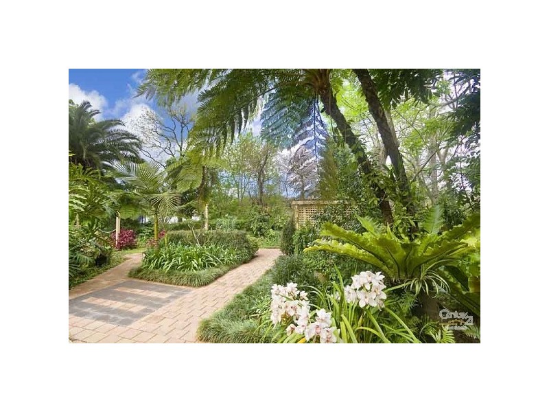 31 Dudley Avenue, Roseville NSW 2069