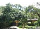 10 Wandeen Place, St Ives NSW 2075