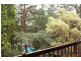 5/5 SPENCER ROAD, Killara NSW 2071