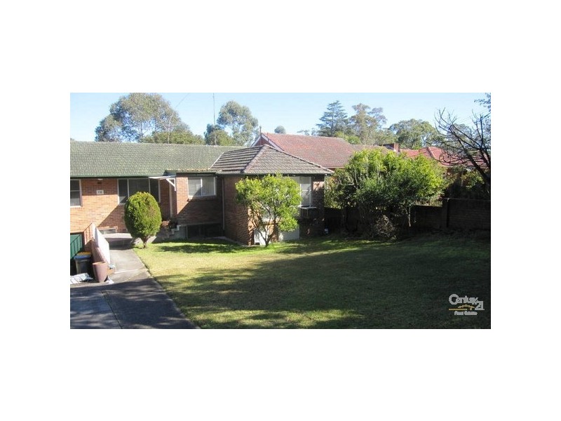 16 Terrace Road, Killara NSW 2071