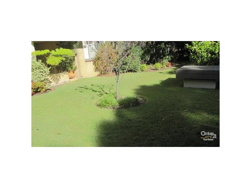 503/8 Broughton Road, Artarmon NSW 2064