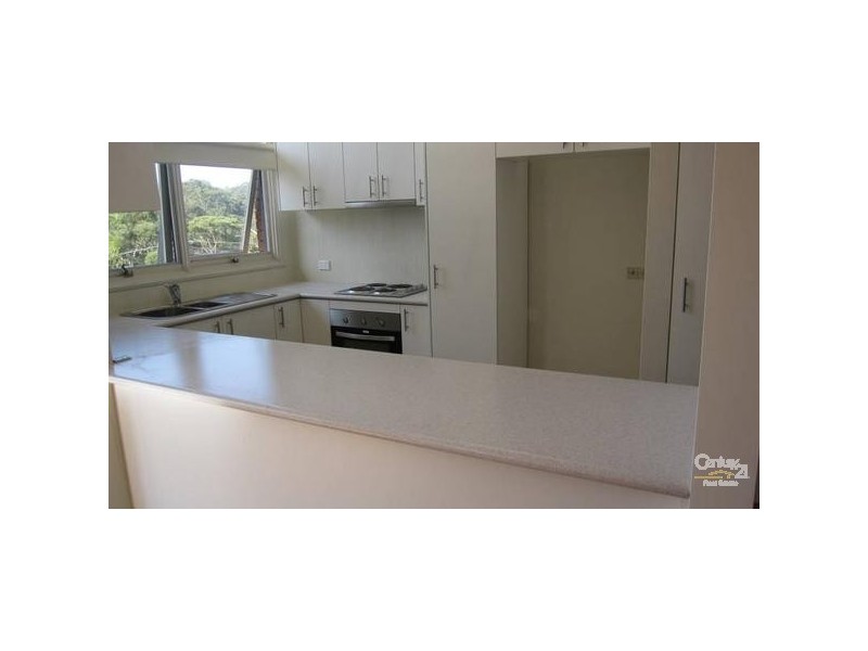 56 Millwood Ave, Chatswood NSW 2067