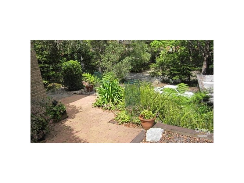 17 Windsor Pl, St Ives NSW 2075