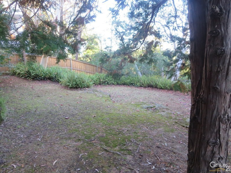 23 Mindarie St, Lane Cove NSW 2066