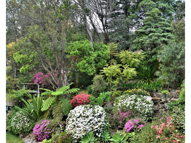 7 Harcourt St, Killara NSW 2071