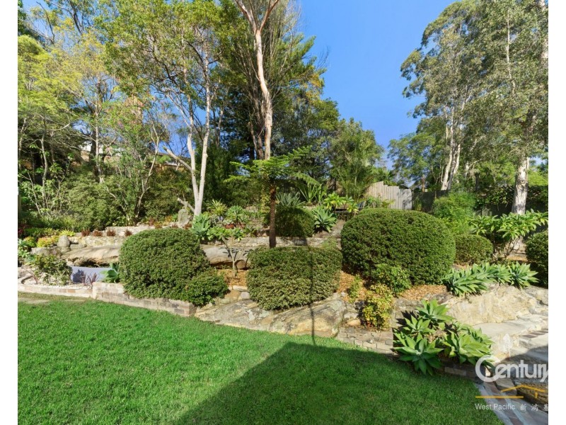 7 Harcourt St, Killara NSW 2071