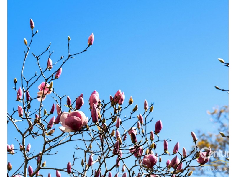 143/1-15 Fontenoy Road, Macquarie Park NSW 2113